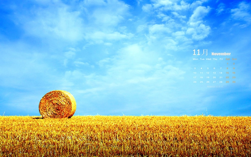 廣東匯綠丨TMOON實驗室高端裝備 · 深秋十一月